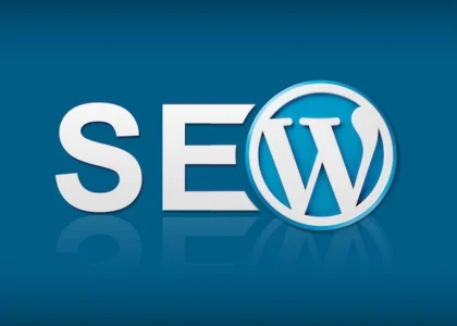 SEO Wordpress